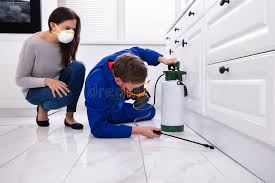 Best Fumigation Services  in Fairmont City, IL